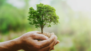 Permalien vers:Parcours de Carême « Ecologie intégrale » Permalien vers:Parcours de Carême « Ecologie intégrale »